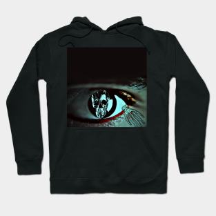 Windows to the Spirit Hoodie